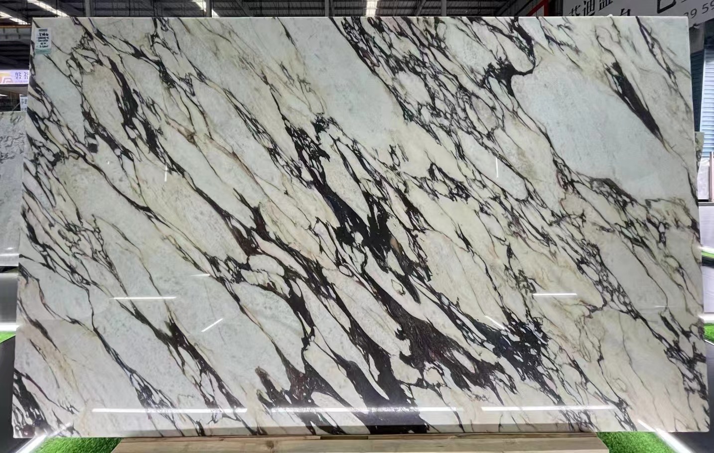  Calacatta Viola Marble